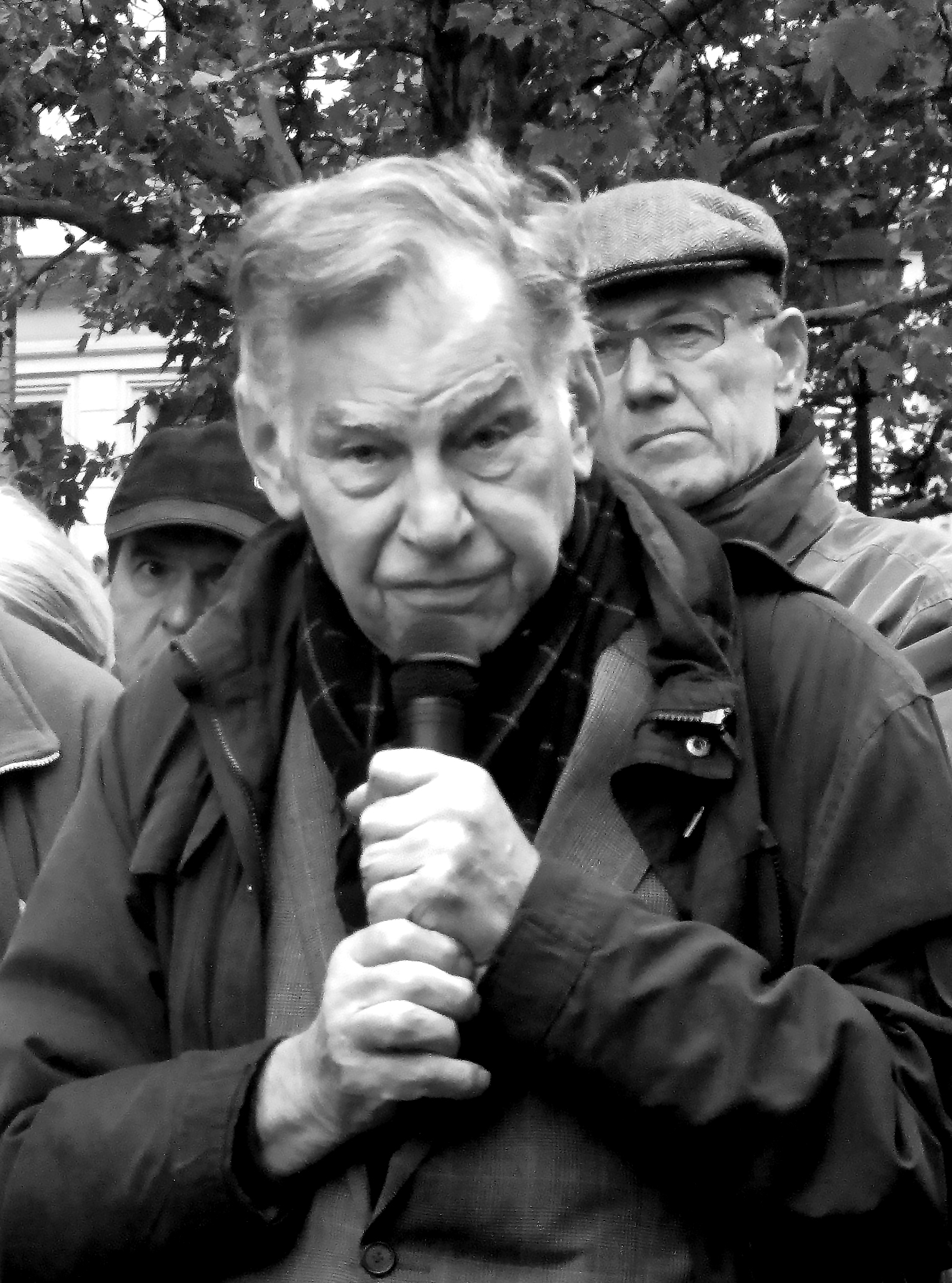 Hans Puchhammer — Österreichische Gesellschaft für Architektur