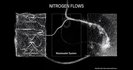 Circular Flows multimedia installation