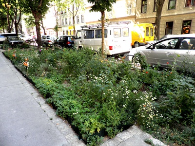 Projekt garten.meidling in der Wolfganggasse