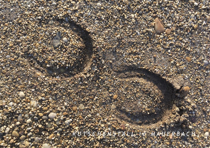 Kutschenstall in Mauerbach