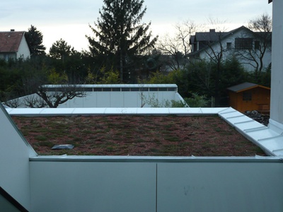 Bauvisite 130: Stadtgut Architekten Haus K.