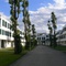 Bauvisite 136: Siedlung Gerasdorferstraße. Architektur: Viktor Hufnagl