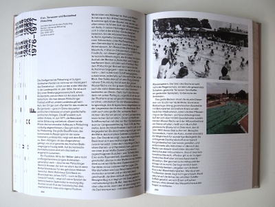 Einblick in die Publikation