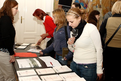 Schindler Lecture #7: Bevk Perovic Arhitekti