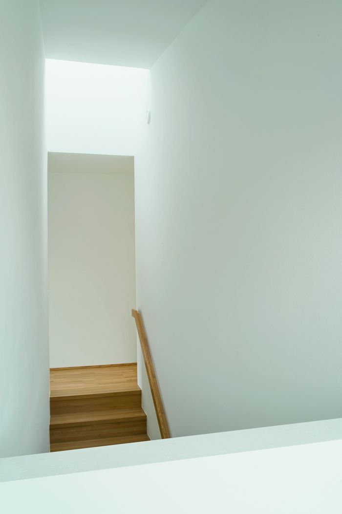 Gartensiedlung Seefeldergasse - Stiegenaufgang mit Oberlicht