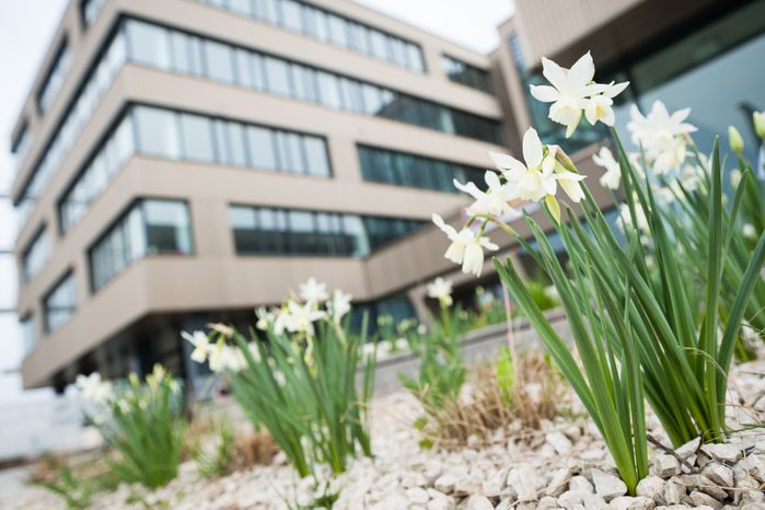 aspern IQ: das zertifizierte Plusenergie-Bürohaus