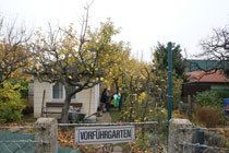 Grün, Grün, nur du allein