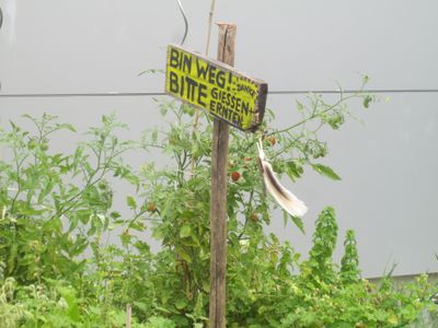 BITTE GIESSEN UND ERNTEN