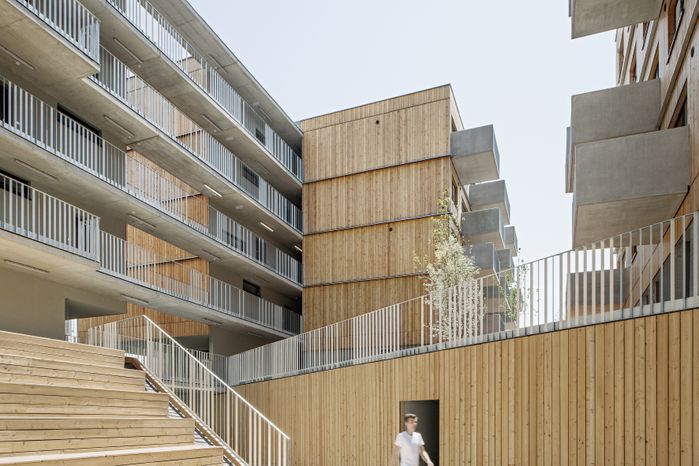 Holzwohnbau Seestadt Aspern